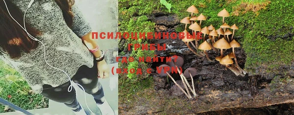 спайс Абинск