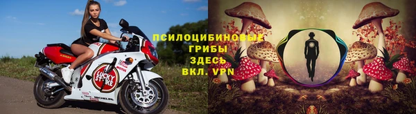 спайс Абинск