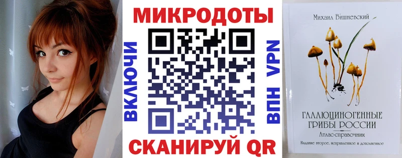 где купить   Шилка  Псилоцибиновые грибы Magic Shrooms 